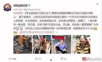 深圳龙哥爆料最新消息,最新热点事件深度解析