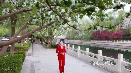 北京网红小众,网红小众地，发现城市新魅力