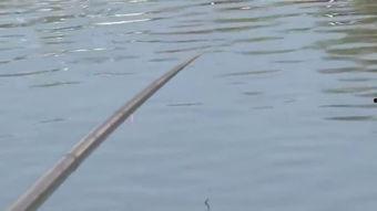 自制网红钓鱼视频教程,自制网红钓鱼视频教程，让你成为钓鱼达人！