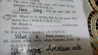 网红英语好评语句