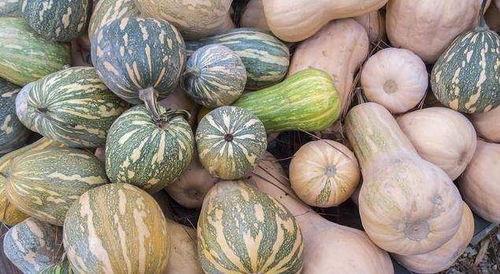 山里的女人吃瓜,探寻山里女人独特的饮食文化