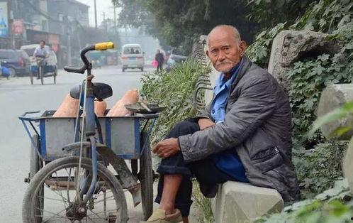 如何看待明星街头卖菜,接地气背后的社会思考