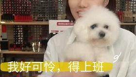 韩国明星男姓李,璀璨星河中的璀璨星辰