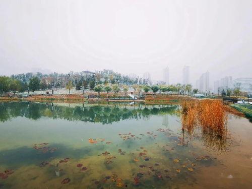 有哪些网红公园名字,探寻城市绿洲中的网红打卡胜地