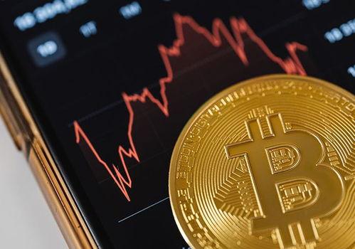 国数网红币,引领数字货币新潮流的璀璨明珠