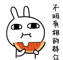 吃瓜搞笑奇葩文案,那些让人捧腹的吃瓜搞笑奇葩文案大盘点