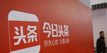 广西马坪今日头条,今日头条聚焦乡村振兴新篇章