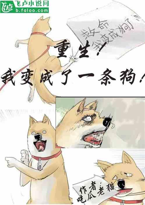 吃瓜打赌小说全文阅读免费