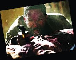 姜戈是哪个明星,揭秘好莱坞巨星莱昂纳多·迪卡普里奥的传奇人生