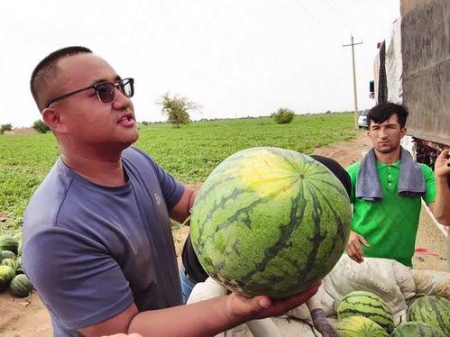 绍兴吃瓜新闻最新消息事件,揭秘背后真相与网络舆论风暴