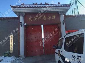 北安市头条,聚焦城市发展新动态，共绘振兴蓝图