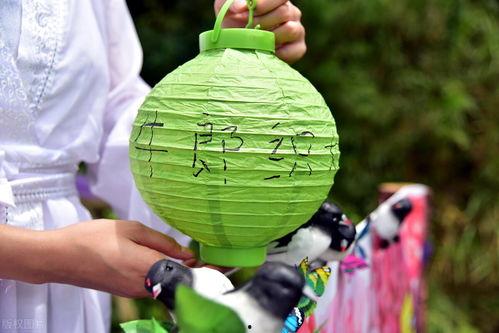 郸城七夕吃瓜,传统节日里的甜蜜“吃瓜”时光