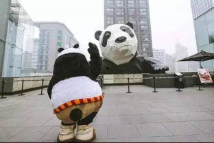 熊猫头条号,揭秘熊猫世界的趣味瞬间