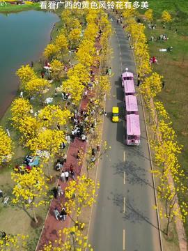 南宁今日头条景点图片,今日头条带你领略绿城魅力瞬间