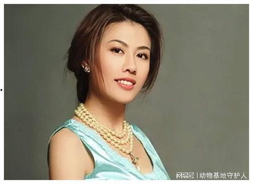 陈彦行明星,星光璀璨的影视新星，演绎人生百态